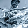Mustad BEB-3/8-BPP Big Eye Bucktail