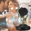SW Forever Preserved Real Black Rose Flower Birthday Gift for