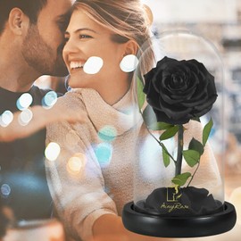 SW Forever Preserved Real Black Rose Flower Birthday Gift for Mom Women,Valentines Eternal Flower in Glass Gifts for Mothers Day Christmas Anniversary Birthday (Black)