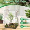 30 x 20 x 15 cm Jumping Spider Run Accessories