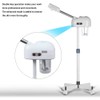 Professional Facial Steamer, Esthetician Steamer for Beauty Salon Home, Hot