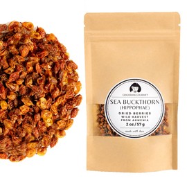 Sea Buckthorn Dried Berries (Hippophae) 2 OZ (57g) Wild Harvested | Natural Dried Whole Berries | Premium Selection from Armenia | Naturally Vibrant and Flavorful | Perfect for Teas, Smoothies, and Culinary Creations