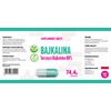 Hepatica Baicalin (Scutellaria baicalensis) Chinese Skullcap 500mg 120 Vegan Capsules,