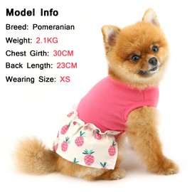 SMALLLEE_LUCKY_STORE Dog Dresses for Small Dog Girls Comfortable Puppy Vest Dress with Pineapple Spring Summer Stretchable Breathable Pet Skirt Chihuahua Yorkie Cat Clothes, Pink, S