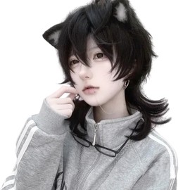 Sofeiyan [Cat Boys Wig] Men's Wig, Wolf, Mallet Wolf, Long, Stylish Layered Twink, Natural, Small Face, Men's Clothing, Harajuku, Imechen Cosplay, Full Wig, Black, Cosplay Wig, Unisex, Everyday Use,