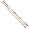 Daiwa Canne Surf Shorecast X Surf 33 423-4.2m - 503g