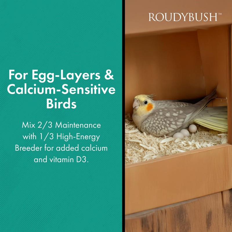 Roudybush Daily Maintenance Bird Food, Small, 10-Pound