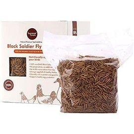 Natural Black Soldier Fly Larvae for Chickens, 85X More Calcium Than Mealworms-High Protein Grub Food Chicken Treats for Hens, Probiotic & Calcium Rich Chicken Feed, Bird Treat 1lb - Color: 1.1 Pound (Pack of 1)