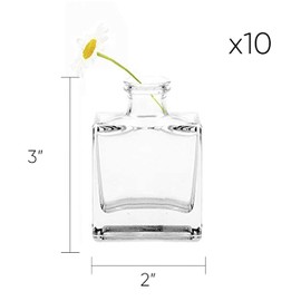 CHIVE ‘Loft’ Small Mini Flower Vases - Clear Glass Bud Vases, Set of 10 - Cute Vintage Rustic Centerpieces for Wedding, Events & Home - Premium Quality, Designed to Last