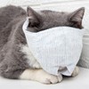 Cat Mask, Bite Prevention, Protective Mask, Cat Bathing, Ear Cleaning,