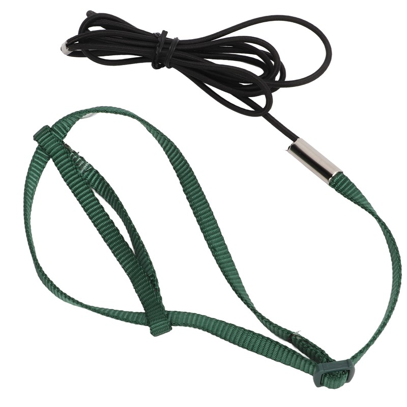 Bird Harness Leash Adjustable Elastic Flying Training Parrot Traction Rope
