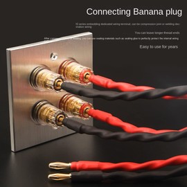 Byttlerom Connector Banana Wall Plate Banana Plug Binding Post Wall Plate for Speakers Home Theater(Single Wall Plate)