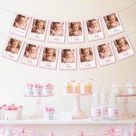 Goose Themed Birthday Party Decoration Pink One Silly Goose 1st Birthday Monthly Photo Banner from Newborn to 12 Months A Little Silly Goose is Turning One Photo Display Banner for Girl First Bday Supplies