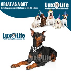 Luxury 12mm Cuban Link Dog Collar - Durable Stainless Steel Chain with Secure O-Ring Lock for Small, Medium & Large Breeds - Adjustable Heavy Duty Pet Walking Collar (Silver, 10 Inch)