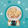 Dog Cat Animal Paw Print Cookie Dough Cutter (Paw Print