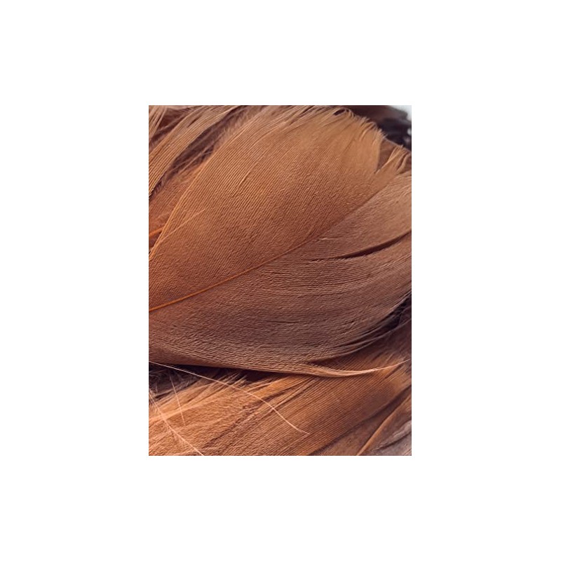 Dark Brown Feathers, 100 Pack