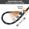 Petarea 5 FT Slip Lead Dog Leash, Heavy Duty Rope
