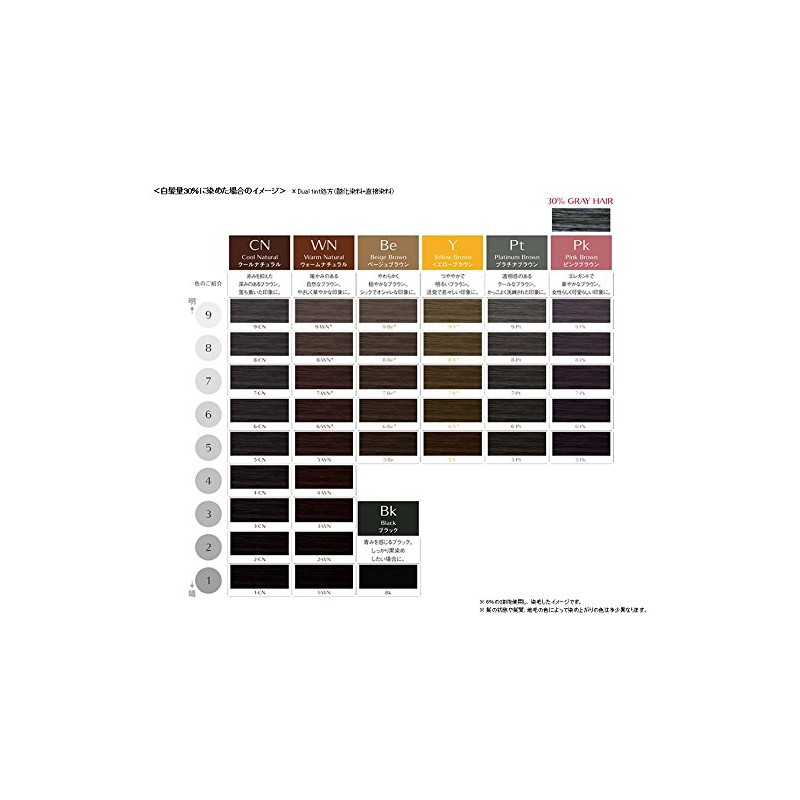 Shiseido dyianisuto ekura 8 – PT G