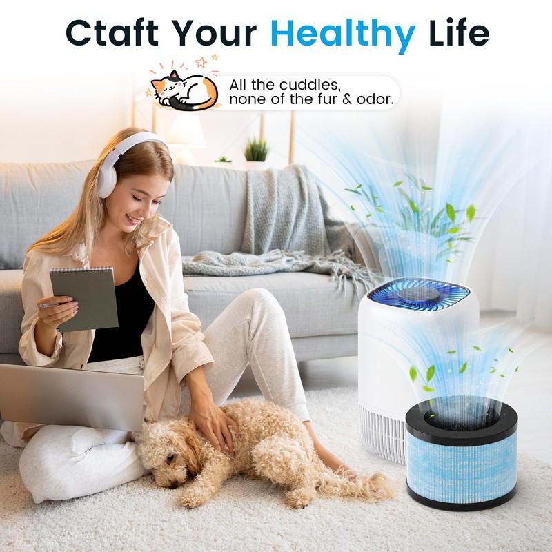 DH-JH12 Replacement Filter Compatible with VOOPNU DH-JH12 Air Purifier