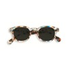 Ijipiji Sunglasses Men's Sunglasses #C Gold Green