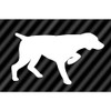 CafePress GSP Rectangle Bumper Sticker Car Decal
