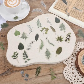 100Pcs Small Green Leaf Stickers Green Botanical Leaf Scrapbook Sticker, Nature Plant Stickers Aesthetic Plant Leaves Nature Greenery Sticker for Scrapbooking Envelope Planner Album Journal DIY Craft