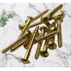 M3 x 25mm Brass Wood Slotted Screws Round Raised Head