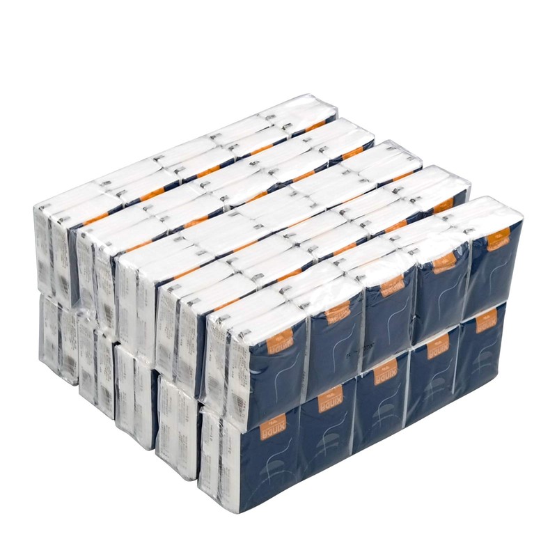 Teyyvn 100-Pack 4-Ply White Facial Tissues Pocket Packs, Mini Pocket