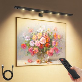 22''Led Picture Light for Wall Art with Remote, 6000mAh Rechargeable Battery Painting Light for Picture Full Metal, Ultra Thin Picture Lights Wireless Wall Light 3 Lighting Dimmable Timer