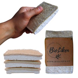 Biodegradable Eco-Friendly Kitchen Cleaning Sponges, Pack of 3
