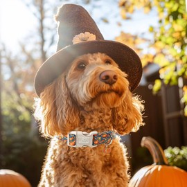 Babole Pet Fall Dog Collar Cute Autumn Pumpkin Puppy Collar - Light Comfortable Adjustable Pet Collars for Small Medium Large Girl Boy Dogs M