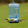 Perky-Pet Hanging Water Cooler Bird Waterer and Dispenser - 48