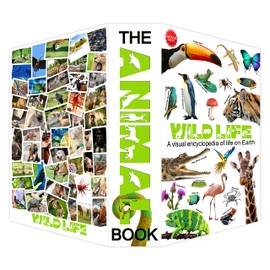 Wild Life Diversion Book Safe with Key Lock,Hidden Safe Secret Storage,Lock Box for Cash Jewelry,9.3''x6.1''x2.3''