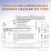 Sérum Arencia Retinianos -crema De Día / Crema De Noche