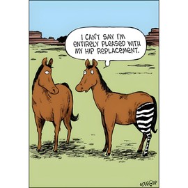 Woodmansterne Funny Get Well Soon Humour Greeting Card - Zebra Hip Replacement - From Speed Bump Range - Suitable For Him / For Her, Multicoloured, 120 x 173 mm