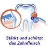 ELMEX aronal Toothpaste Gum Protection 75 ml - Fights Plaque