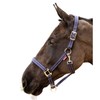 LeMieux Essential Yard Headcollar - Tough & Durable Nylon Webbing