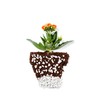 Perlite Bliss (8 Qts) - Organic Perlite for Plants -