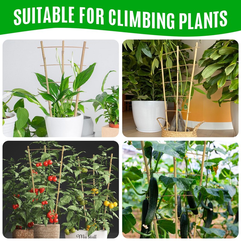 SWANGSA 5 Pack 3Ft Bamboo Trellis for Climbing Plants Support,