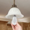 TCP 9W LED Light Bulbs (60 Watt Equivalent), A19 -
