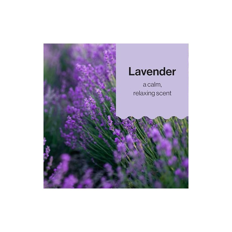 Honest Shampoo & Body Wash, Ultra Calming Dreamy Lavender, 10