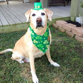 CROWNED BEAUTY St Patricks Day Dog Bandanas Reversible Large 2 Pack, Lucky Shamrocks Set, Green Plaid Adjustable Triangle Holiday Scarves for Medium Large Extra Large Dogs Boy Girl Pets DB157-L