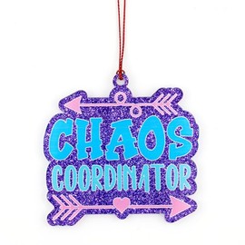 Chaos Coordinator gifts, Thank You Gifts for Women, Boss, Coworker, Manager, Office, Teacher, Nurse, Mom - Boss Lady Gift Ideas - Administrative Professional Day, Birthday Gift