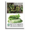 Spacemaster Cucumber Seeds, 100+ Heirloom Seeds Per Packet, (Isla's Garden