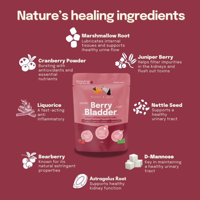 Buddy & Lola Berry Bladder | Advanced Bladder & Kidney