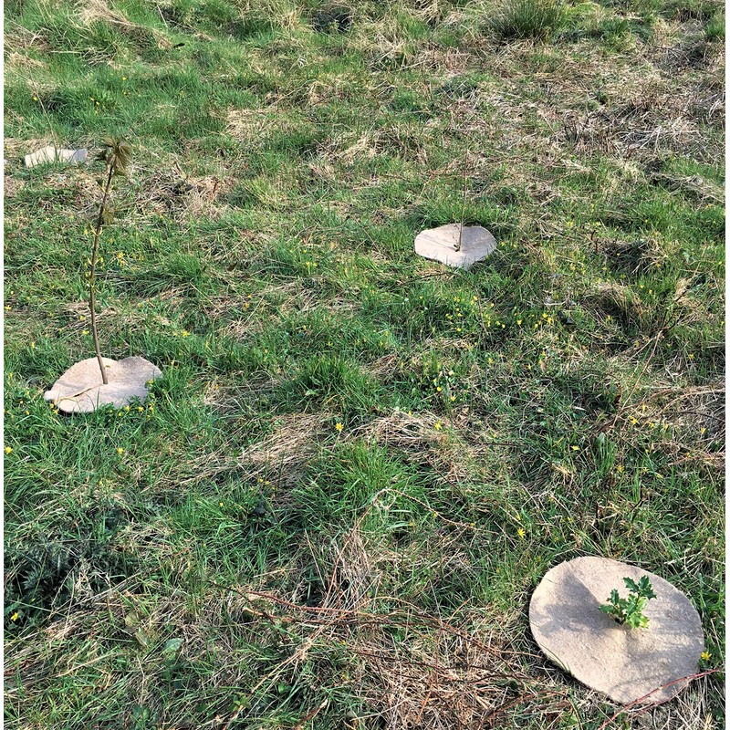 35cm Mulch Mats Made of Recycled Coffee Sacks - Pack