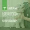 SensoVet Probiotic Chews for Dogs + Advanced Prebiotic Enzymes |