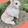 Adjustable Rabbit Lead, Pack of 2 Adjustable Lead for Rabbits,