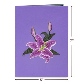 Paper Love 3D Pop Up Card, Purple Lilies, For Mothers Day, All Occasions - 5" x 7" Cover - Includes Envelope and Note Tag