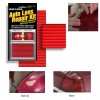 Bluestar Red Auto lens tail light repair kit, DIY fix
